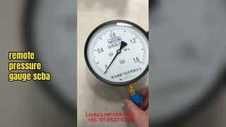 การอ่านระยะไกลและเกจวัดแรงดันระยะไกล - โซลูชันการตรวจสอบทางอุตสาหกรรม