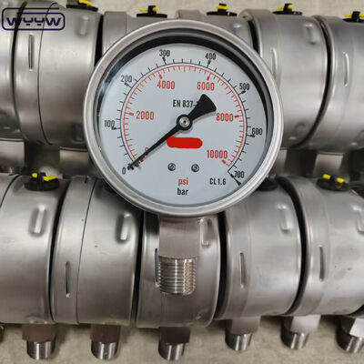 เกจวัดแรงดันวงแหวนหน้าปัดขนาด 100 มม. แบบเติมซิลิโคน กลีเซอรีน พร้อมติดตั้งด้านล่าง สำหรับงานอุตสาหกรรม